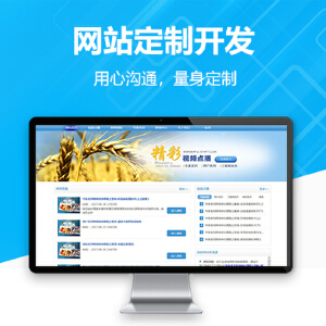 北京網盟天下 專業定制微信開發、H5開發與網站建設解決方案